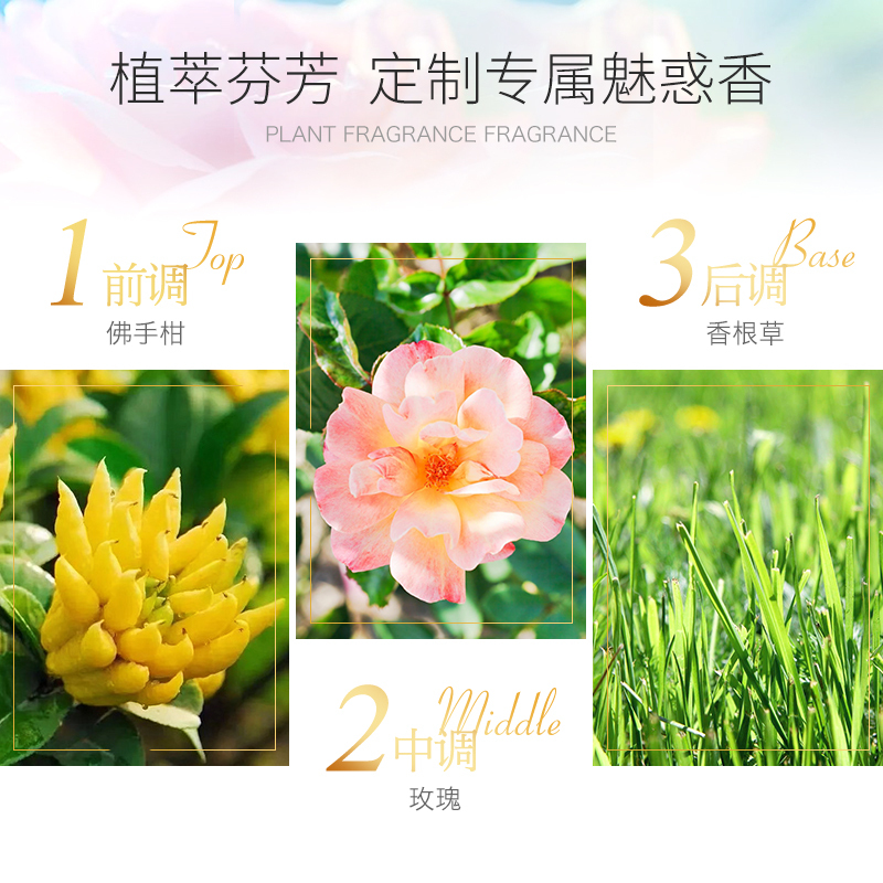 丽塔斯特洗沐套装 清盈控油香薰洗发水+魅惑香薰沐浴露518g*2瓶 柔顺滋养洗发乳 保湿紧致香水沐浴液乳 男女通用