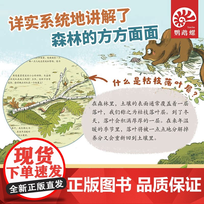 藏在森林里的生命 认识全球不同森林里的生命)鹦鹉螺高清大图