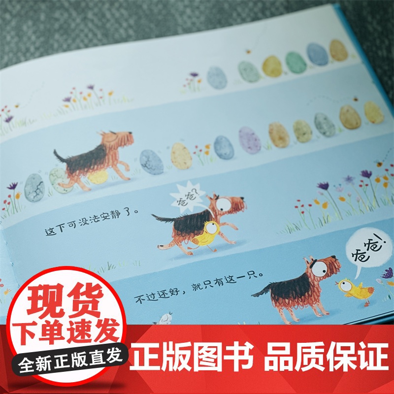 鸭子鸭子爸爸麦田精选图书系列儿童动物绘本洛娜·斯科比绘少年儿童出版社高清大图