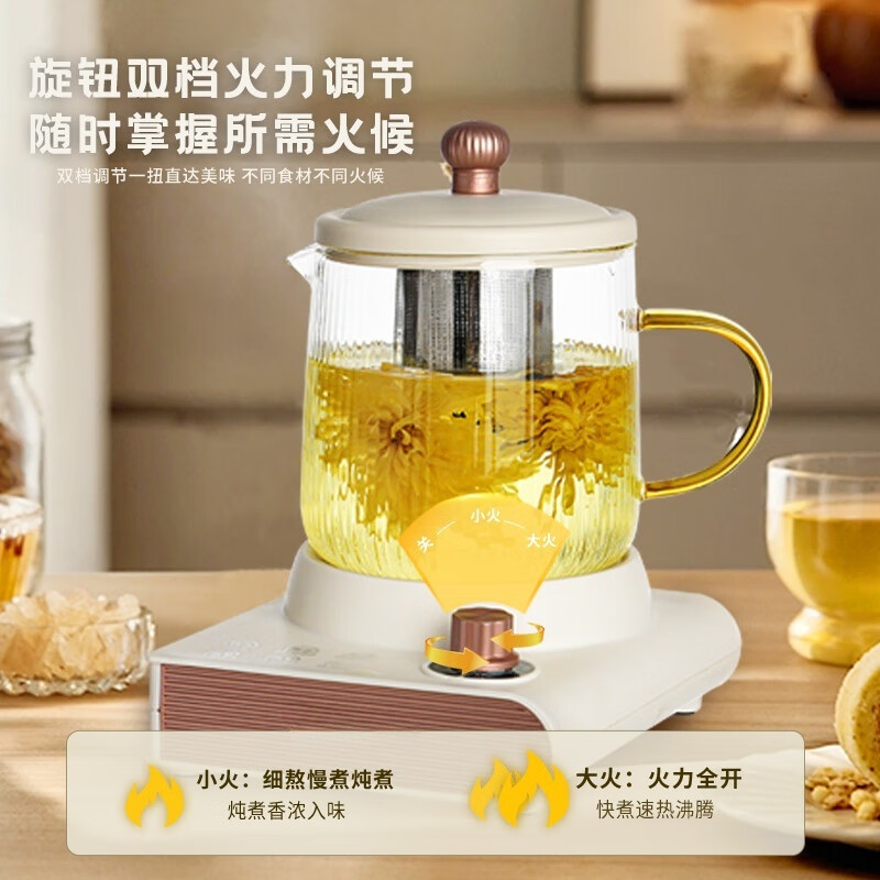 小鸭 多功能养生杯/WXY-YH027H高清大图