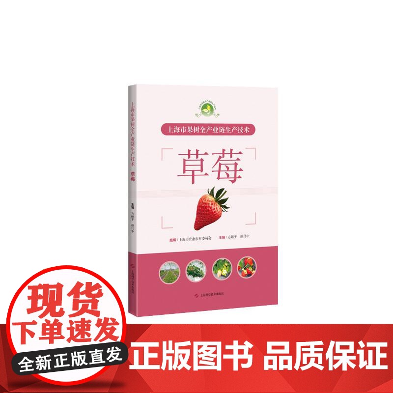 上海市果树全产业链生产技术:草莓 上海科学技术出版社高清大图