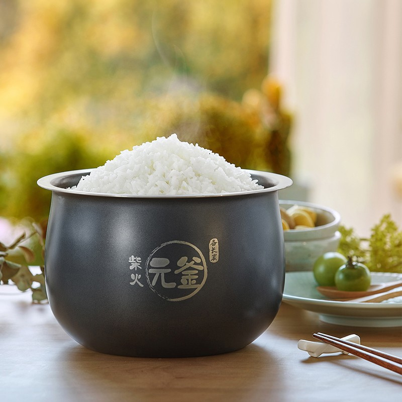 小熊(Bear ) 电饭煲/电饭锅4L柴火元釜不粘内胆智能预约定时煮粥煲汤多功能煲饭 柴火元釜 DFB-B40T1高清大图