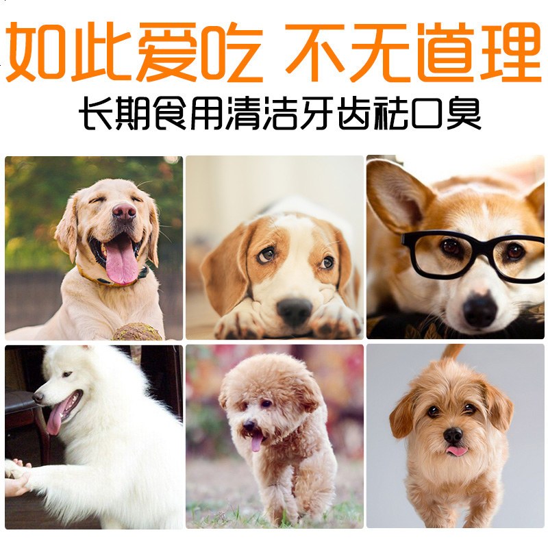 狗狗零食 鸡肉哑铃磨牙棒80g泰迪金毛比熊幼犬磨牙健齿宠物零食