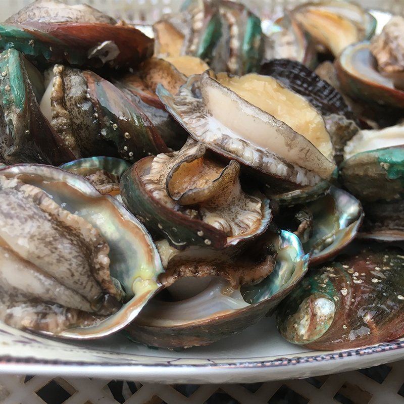 3斤装鲍鱼仔1斤30个左右鲜活小鲍鱼速冻锁鲜冷冻发货海鲜贝类