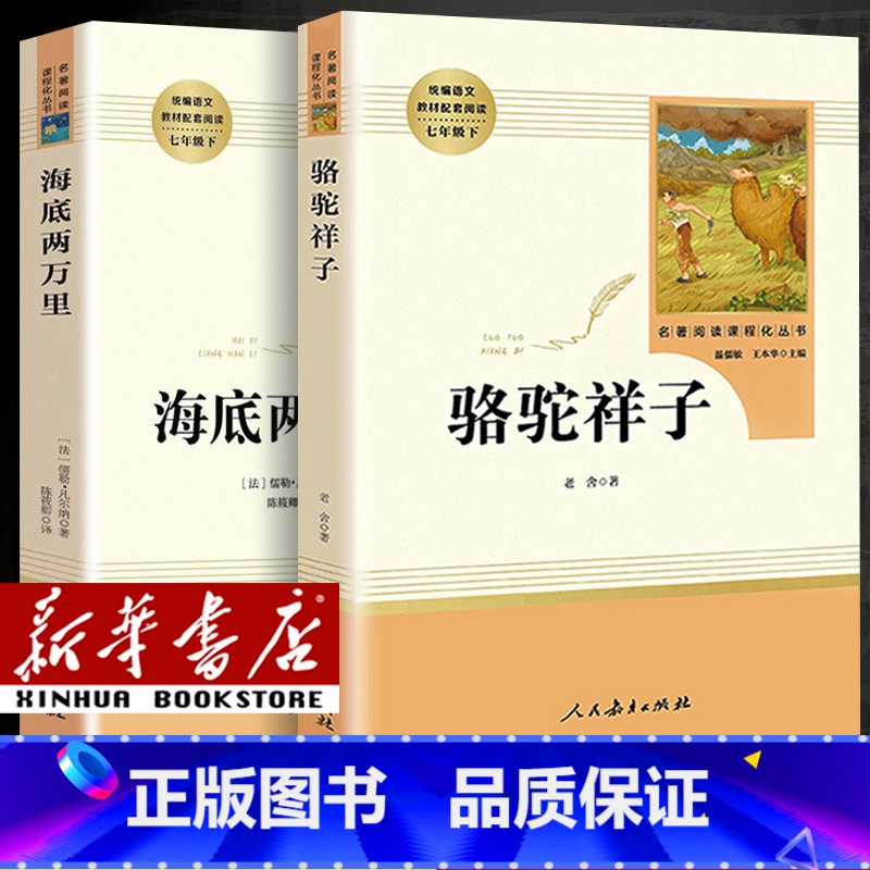 [国一下册]套装共2本 [正版]人教版初中国一下册八年级下册九年级下册初中课外阅读书籍骆驼祥子海底两万里经典常谈钢铁是怎高清大图