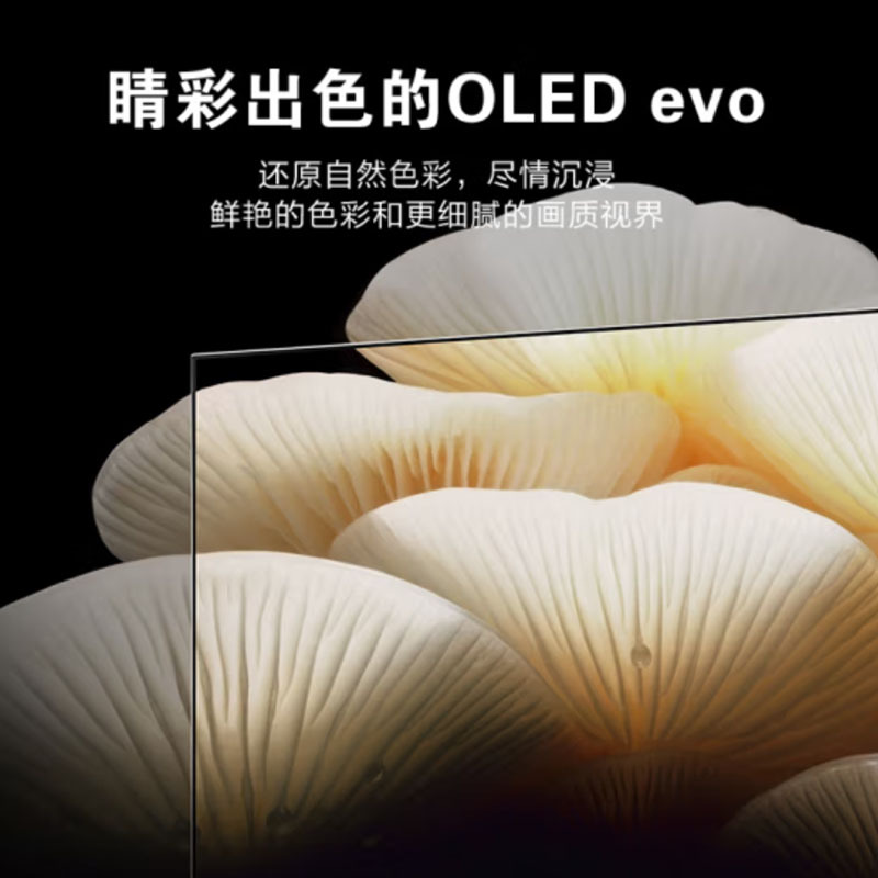 LG 55LX1QPCA 55英寸OLED EVO护眼 艺术支架套装 艺术画廊电视Pose 带收纳可壁挂电视