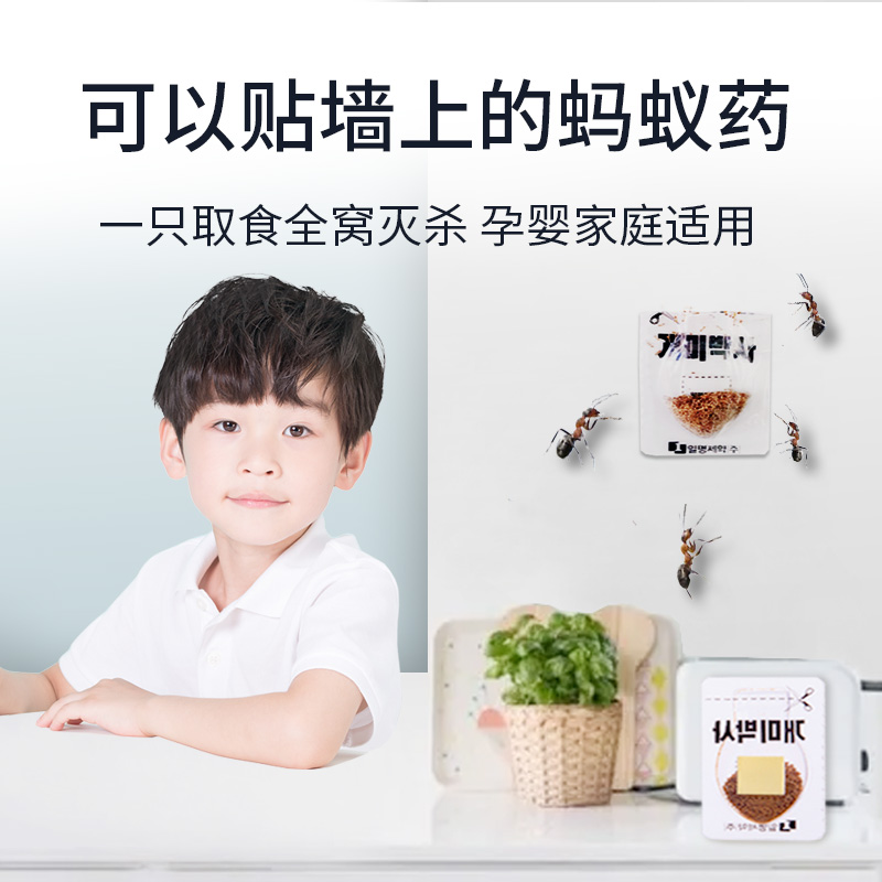 韩国进口日明蚂蚁药家用蚂蚁全窝端室内厨房灭小红蚂蚁黑蚂蚁高清大图