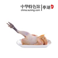 【中华特色】亭湖馆国谷旦 江浙隔日到 外省飞机空运 苏北农村散养老母鸡 草鸡 土鸡 杀后净重2.3-2.5斤