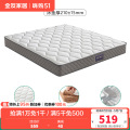 105171床垫 【椰丝棉+整网弹簧】(1.0米*2.0米)床垫