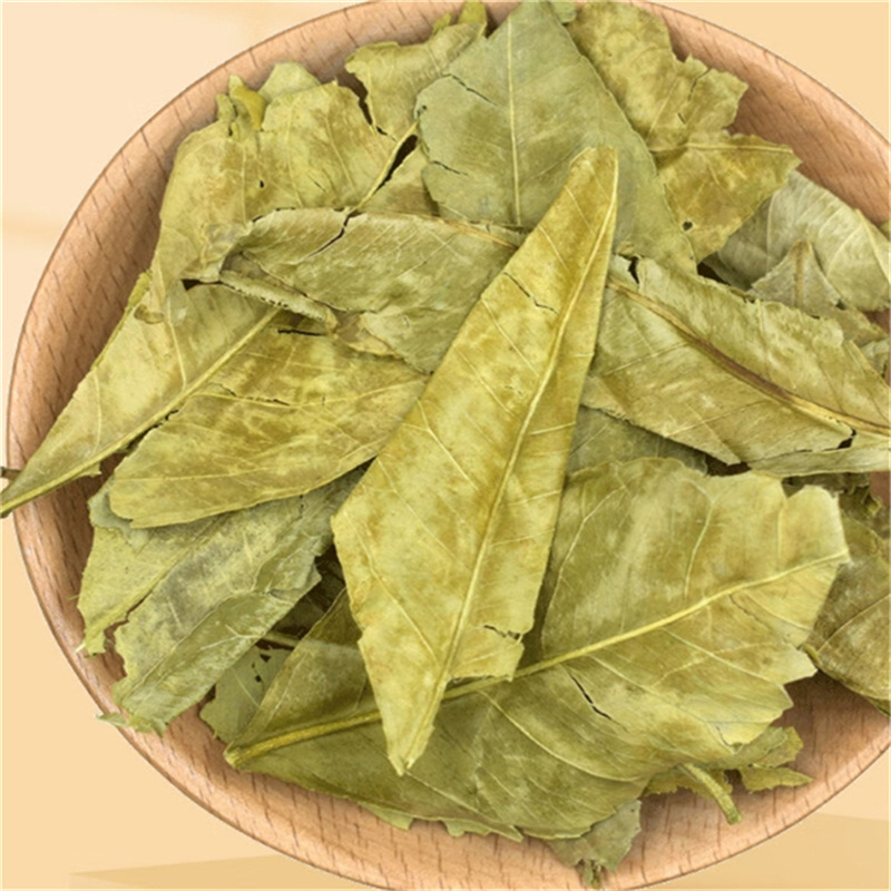 金橘叶250g新货干橘子叶 金桔叶金橘叶正品新货高清大图