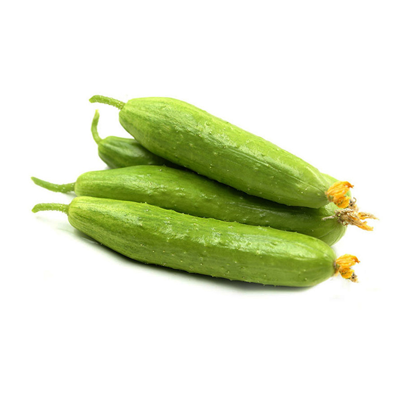 山东海阳白玉小黄瓜水果黄瓜2.5kg新鲜采摘