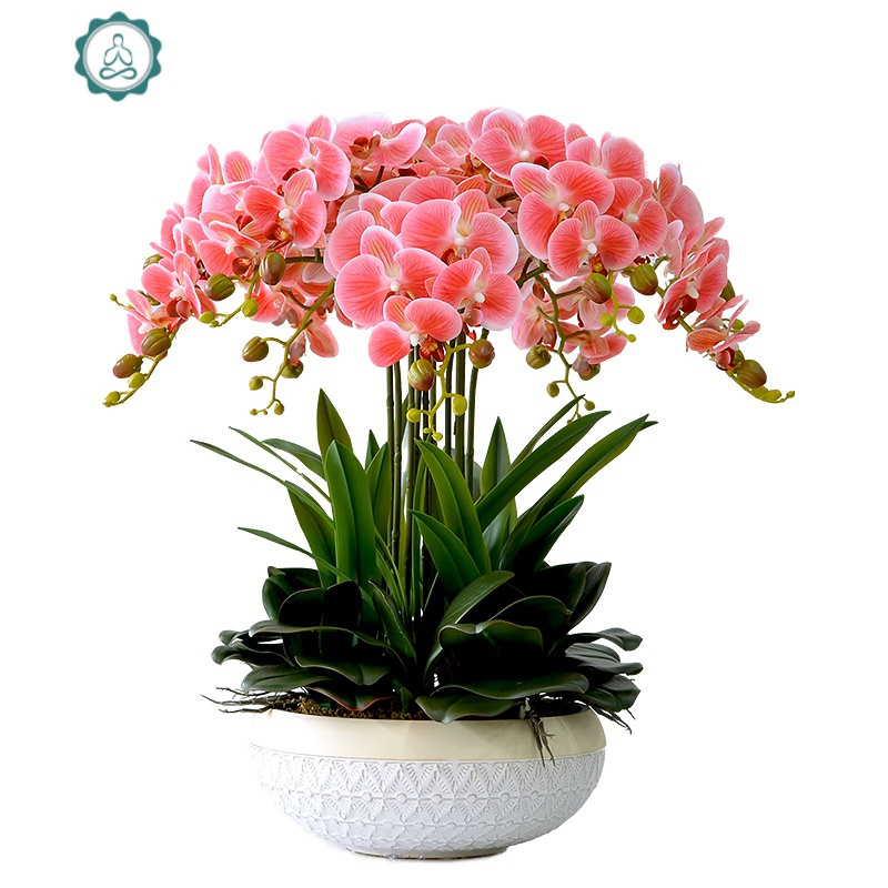蝴蝶兰仿真花套装手感假花大盆栽摆件北欧客厅边角几装饰摆设 封后 米