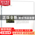 箫声咽