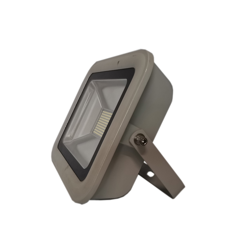 LHDQ 领航电器LHF2360-20W LED投光灯 IP65 市电 220V 冷白高清大图