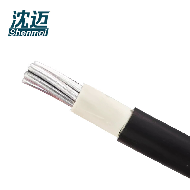 沈迈 铝芯电缆 BLXY-1*120平方毫米 /米高清大图