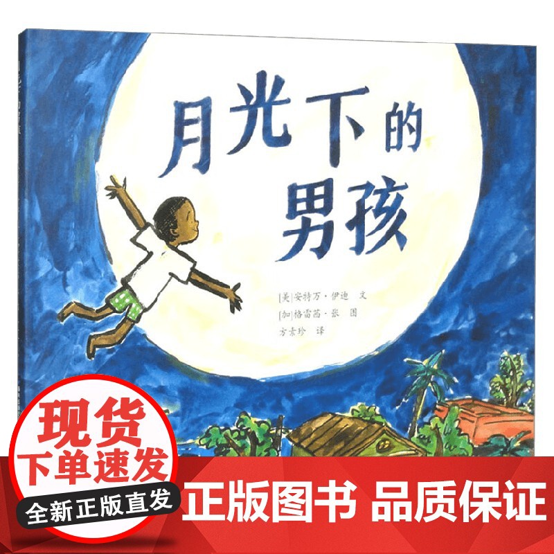 月光下的男孩 安特万·伊迪 著 儿童文学高清大图