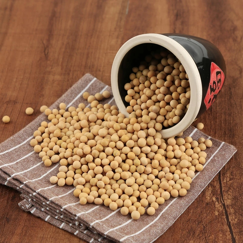 金珠泉东北黄豆2.5kg 东北大豆 五谷杂粮烘焙原料 八宝粥豆浆5斤装