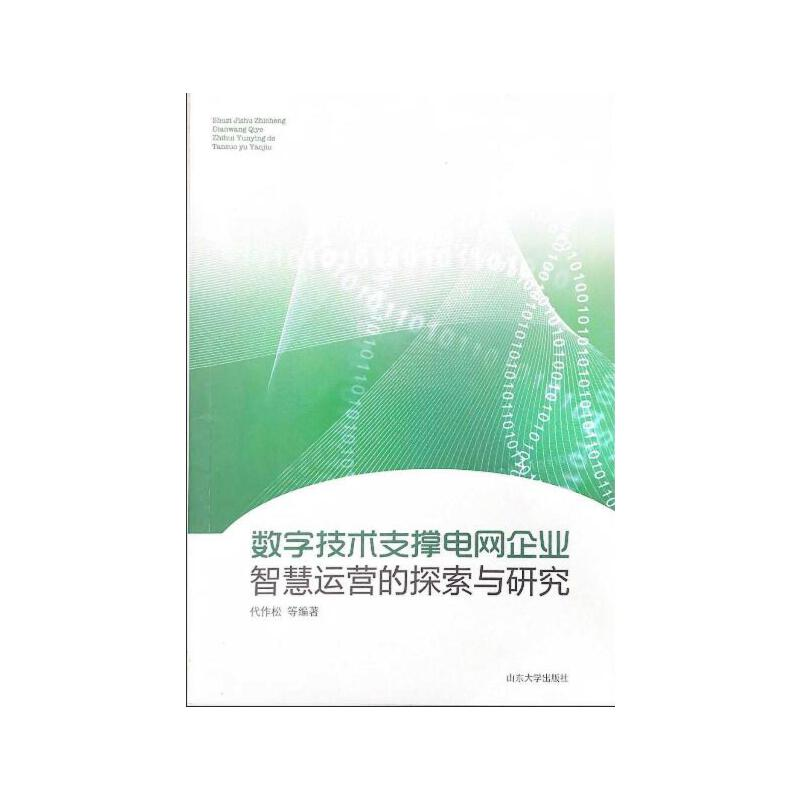 音像数字技术支撑电网企业智慧运营的探索与研究代作松