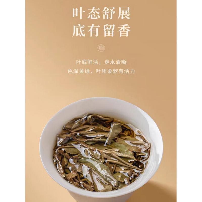 白大师 福鼎白茶独立包装小方片2019年一级白牡丹30g盒装便携户外高清大图