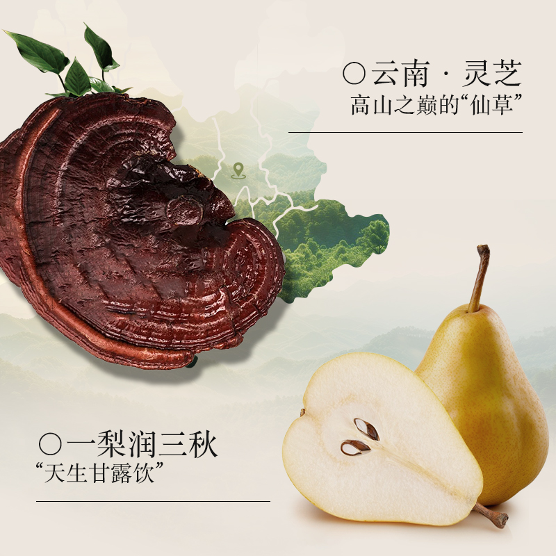 羽心堂 雪梨蒲菊清润茶2盒 每盒8罐高清大图