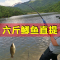 闪电客自动钓鱼竿弹簧海竿抛杆超硬远投渔具用品装备全套装海杆抛竿