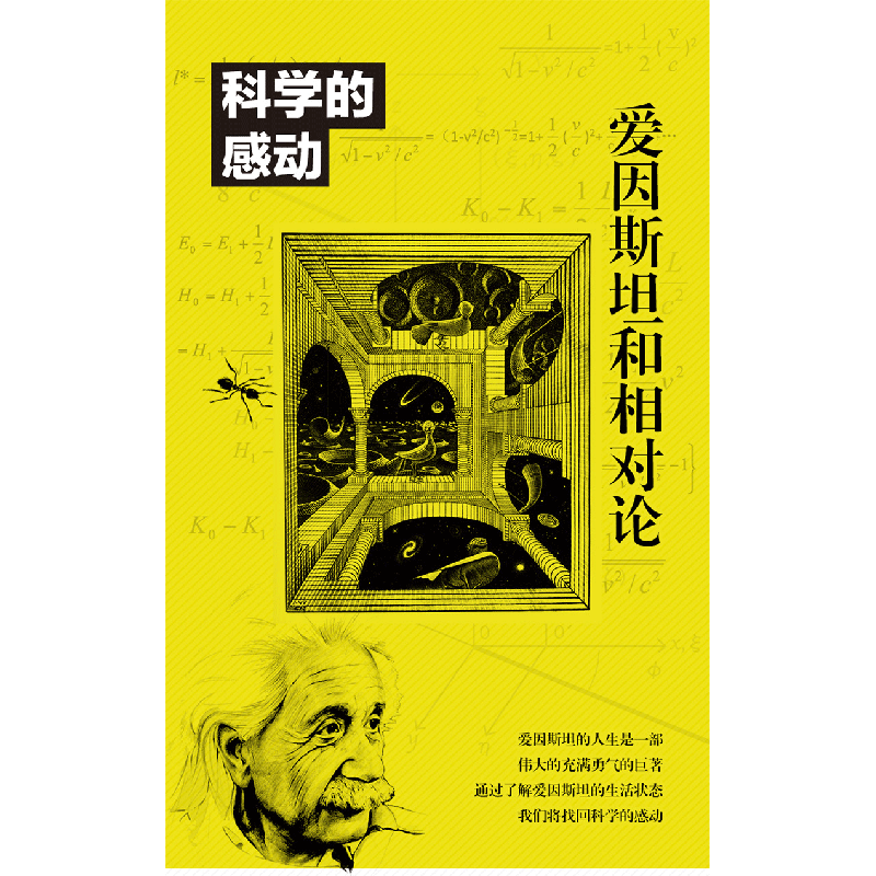 正版 科学的感动:爱因斯坦和相对论 茂木健一郎 广东人民出版社高清大图