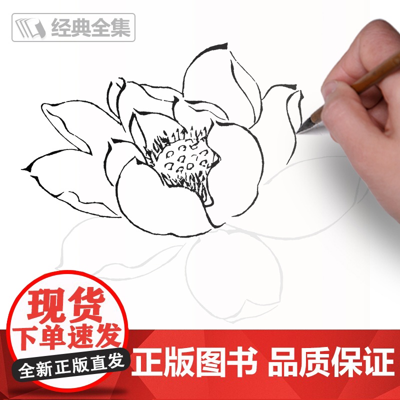 [3册全套]芥子园画传浅印描摹本兰竹梅菊草虫翎毛山水谱中国画入门零基础书籍白描画稿线稿临摹本超级线条初学者工笔画自学教材高清大图