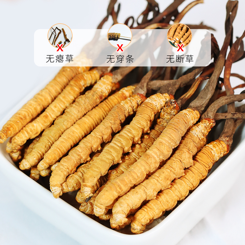 阿依舍 冬虫夏草虫草正品冬虫草王 5条/g 30克 150条干货礼盒装