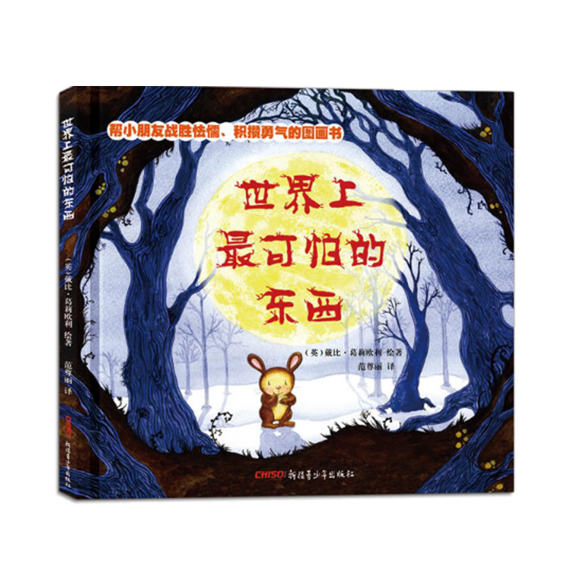 音像可怕的东西(精)(英)戴比·葛莉欧利|译者:范尊丽