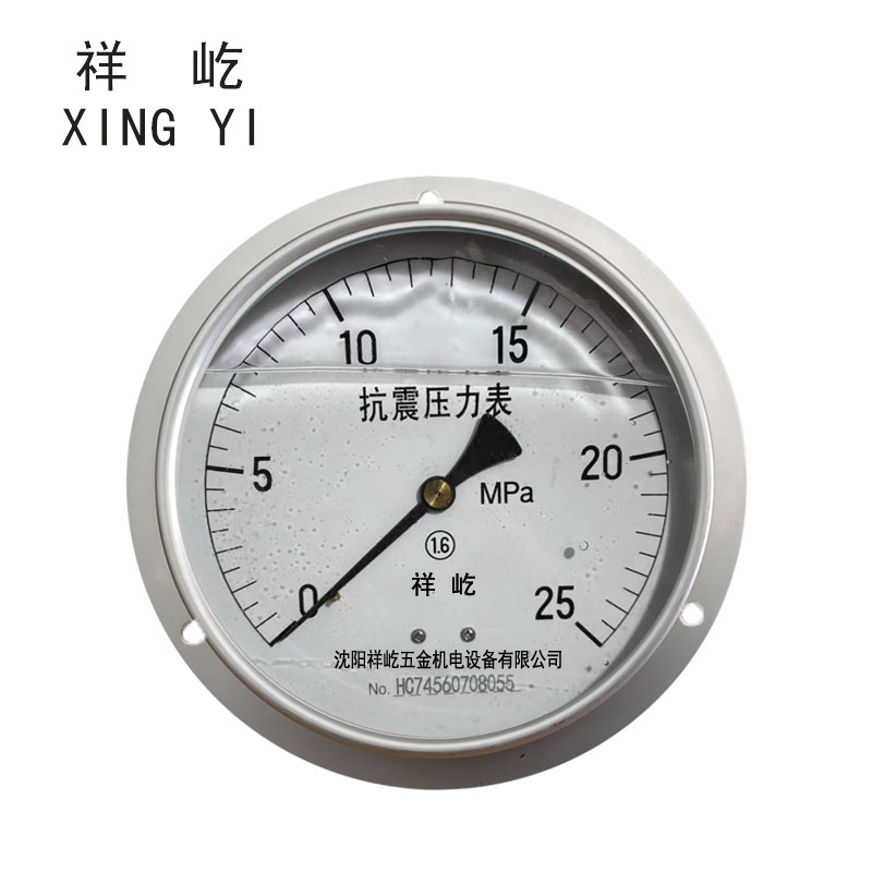 祥屹 耐震压力表轴向带边 YTN150ZT 0-25Mpa 块高清大图