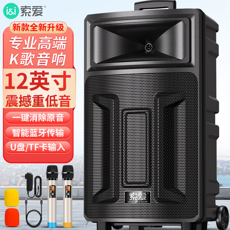 索爱(soaiy)SA-T21 广场舞大功率低音炮便携户外k歌电木吉他乐器音箱蓝牙拉杆音响 单麦高清大图