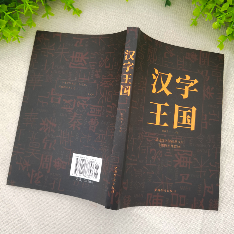 [正版]2册 新编说文解字+汉字王国 语言文字古代汉语字典国学经典古文字学研究通俗读物详解部首段玉裁注咬文嚼字细说汉字的高清大图