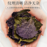 庄民紫苏15克/罐装 紫苏叶茶 干紫苏籽子叶 精选好货 花草茶叶泡水