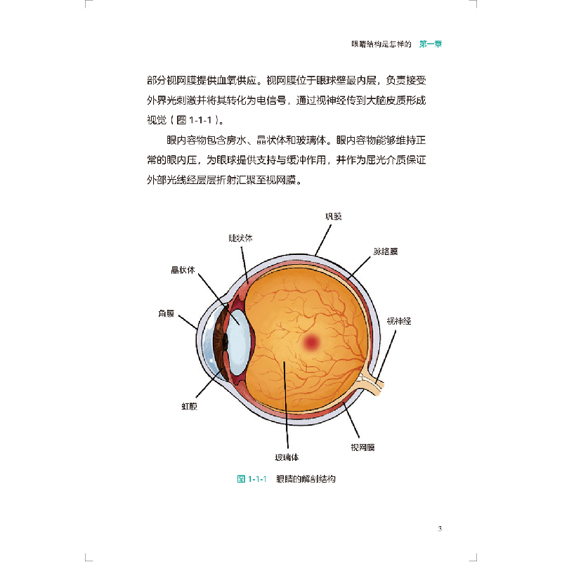 醉染图书看得见:别让眼底疾病夺走你的光明9787117329927高清大图