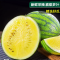 【西沛生鲜】云南新鲜特小凤西瓜 5-6斤 2-3个 新鲜水果 汁多肉甜