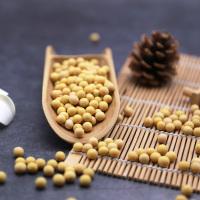 轩辕谷道 东北黄豆500g农家大豆黄豆1斤豆子袋装杂粮豆浆豆原料发豆芽种子