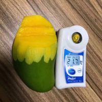 【9斤装】伍品汇 甜心芒芒果新鲜水果热带水果8斤装净重8.5-9斤约30-45个