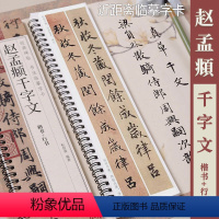 【正版】赵孟頫楷书千字文+行书千字文 经典碑帖书法临摹字卡 原碑帖1卷全文 楷书+行书对照版 赵体书法毛笔字卡练法1毛