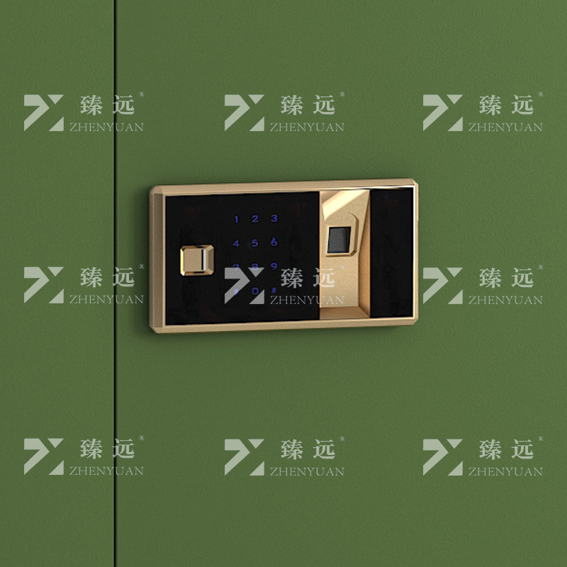 臻远 ZYJJ-80085 保密柜 绿色分双节指纹锁 长900*宽420*高1900mm 单位:1台高清大图
