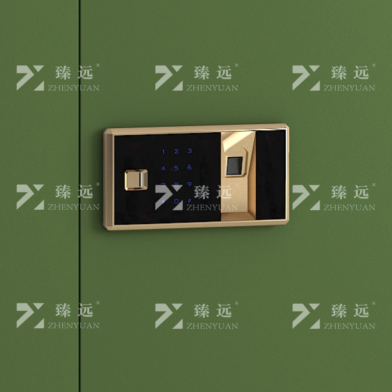 臻远 ZYJJ-80085 保密柜 绿色分双节指纹锁 长900*宽420*高1900mm 单位:1台