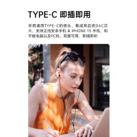 JBL TUNE310C 有线耳机Type-C接口 黑色