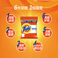 汰渍洗衣粉持久留香自然清香大包装家庭组合装套装净白去渍有效去渍不含磷