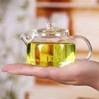 玻璃茶壶小号耐热玻璃花茶壶迷你功夫茶具透明小茶壶单壶玻璃茶杯 200ml小茶壶