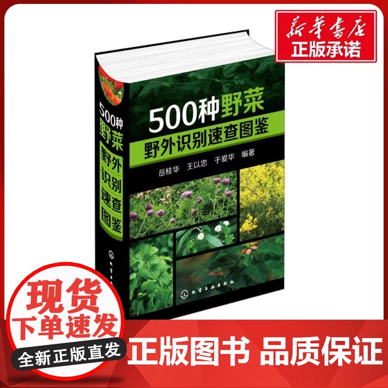 500种野菜野外识别速查图鉴 野菜识别特征实用方法 中医草药材识别图大全 生活常识中草药有毒植物识别图集 自然科学植物学高清大图