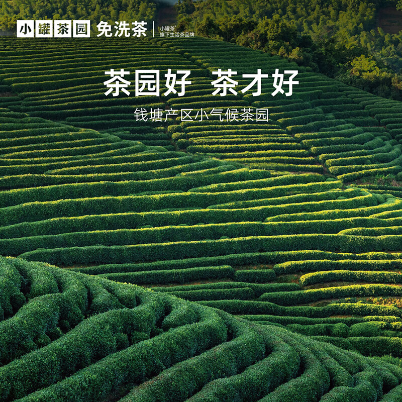 小罐茶2025新茶上市小罐茶园·明前龙井绿茶茶叶自己喝 75g*1罐高清大图