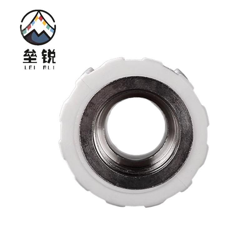 垒锐PPR内牙直接 4分 个高清大图