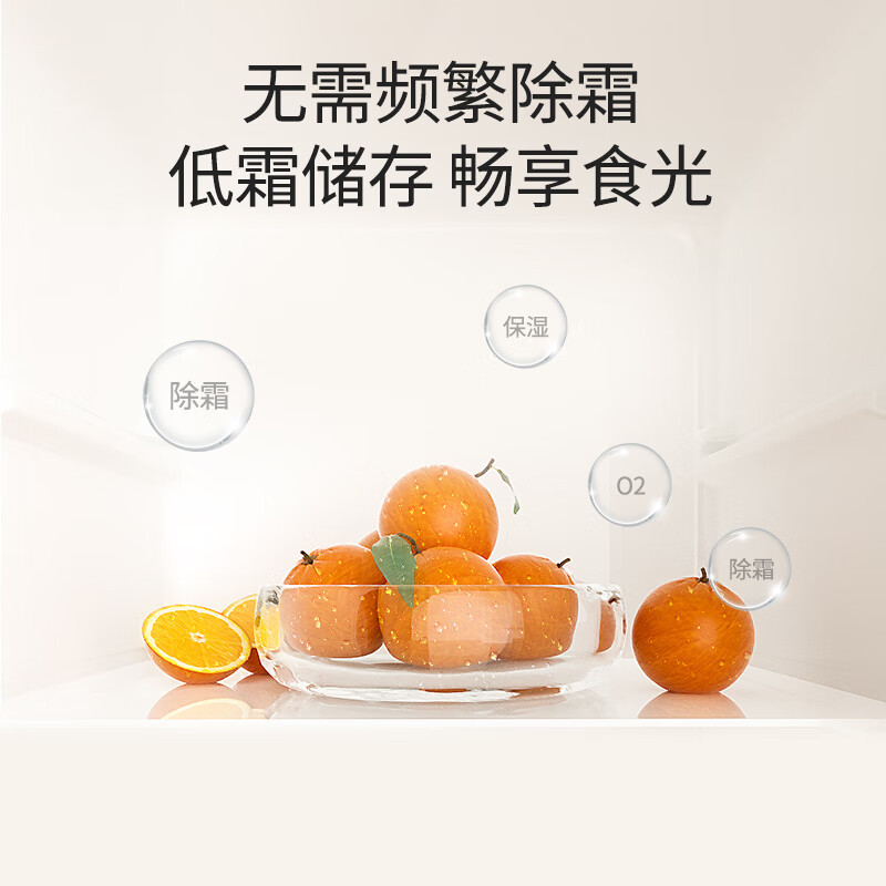 康佳(KONKA)172升 双门小型迷你电冰箱二级能效家用租房两门小冰箱AR-189G2高清大图