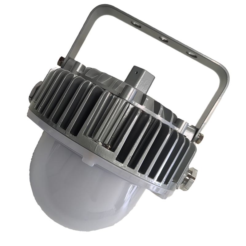 光大特照 EBF605(LQ)-60 60W 220V IP66 LED平台灯 (计价单位:个) 银白色高清大图