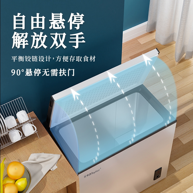 荣事达royalstar小冰柜家用商用小型保鲜冷藏冷冻两用迷你一级节能双