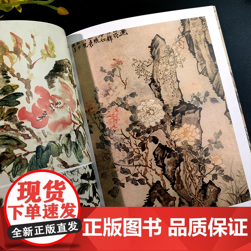 [正版]中国历代绘画图典:牡丹 甄选上百幅历代绘画大师花卉牡丹画作品集 32开本小巧便携带临摹鉴赏收藏中国花卉画册页书籍高清大图